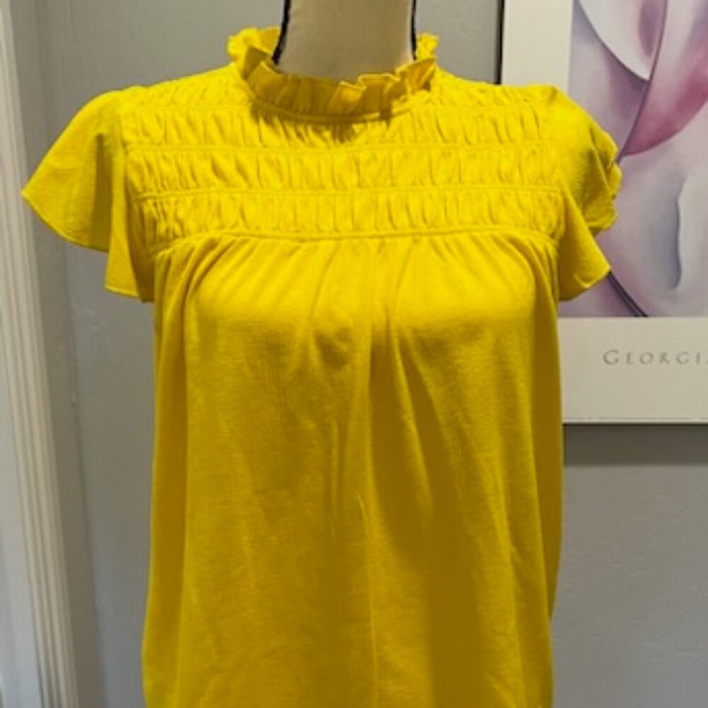 Ann Taylor Spring Blouse